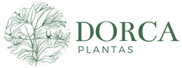 Dorca Plantas
