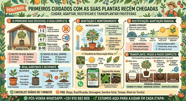 O QUE FAZER APÓS RECEBER AS SUAS PLANTAS